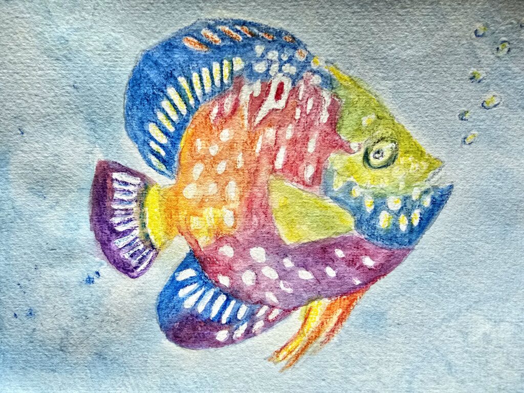 bunter Fisch auf Aquarellpapier mit Gonis Aqua XXL-Stiften