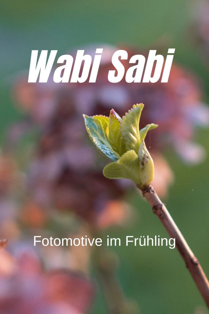 Wabi Sabi Fotografie im Frühling