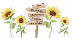 Wegweiser Fotografieren, Malen, Natur erleben