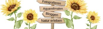 Wegweiser Fotografieren, Malen, Natur erleben