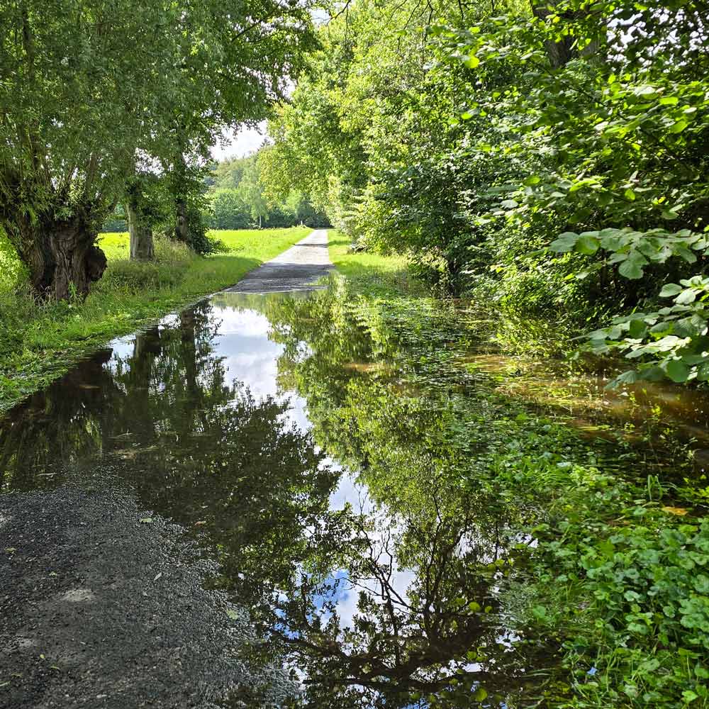 Überschwemmter Weg