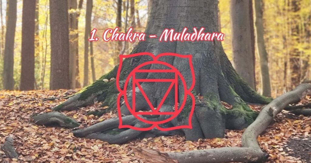 1. Chakra - Wurzelchakra